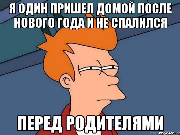 я один пришел домой после нового года и не спалился перед родителями, Мем  Фрай (мне кажется или)