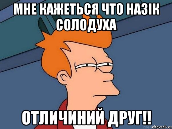 мне кажеться что назік солодуха отличиний друг!!, Мем  Фрай (мне кажется или)