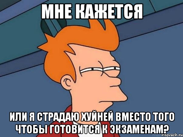 мне кажется или я страдаю хуйней вместо того чтобы готовится к экзаменам?, Мем  Фрай (мне кажется или)