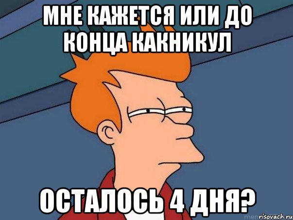 мне кажется или до конца какникул осталось 4 дня?, Мем  Фрай (мне кажется или)