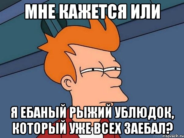 мне кажется или я ебаный рыжий ублюдок, который уже всех заебал?, Мем  Фрай (мне кажется или)