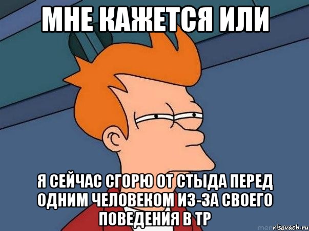 мне кажется или я сейчас сгорю от стыда перед одним человеком из-за своего поведения в тр, Мем  Фрай (мне кажется или)