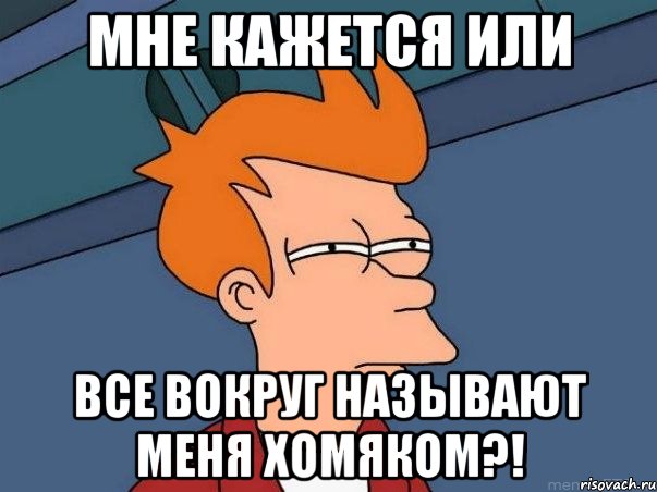 мне кажется или все вокруг называют меня хомяком?!, Мем  Фрай (мне кажется или)