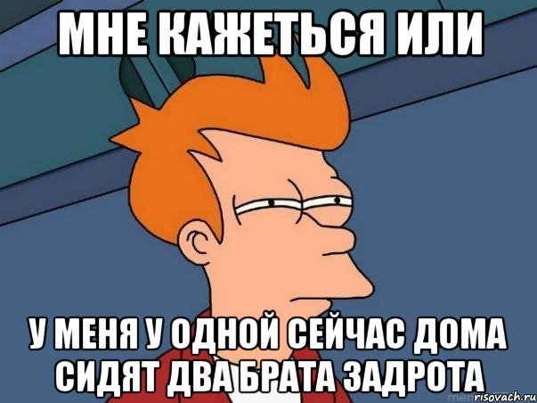 мне кажеться или у меня у одной сейчас дома сидят два брата задрота, Мем  Фрай (мне кажется или)