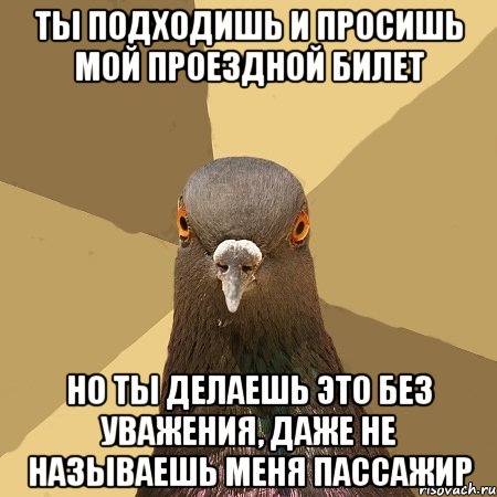 ты подходишь и просишь мой проездной билет но ты делаешь это без уважения, даже не называешь меня пассажир, Мем голубь