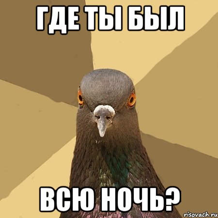 где ты был всю ночь?