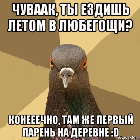 чуваак, ты ездишь летом в любегощи? конееечно, там же первый парень на деревне :d