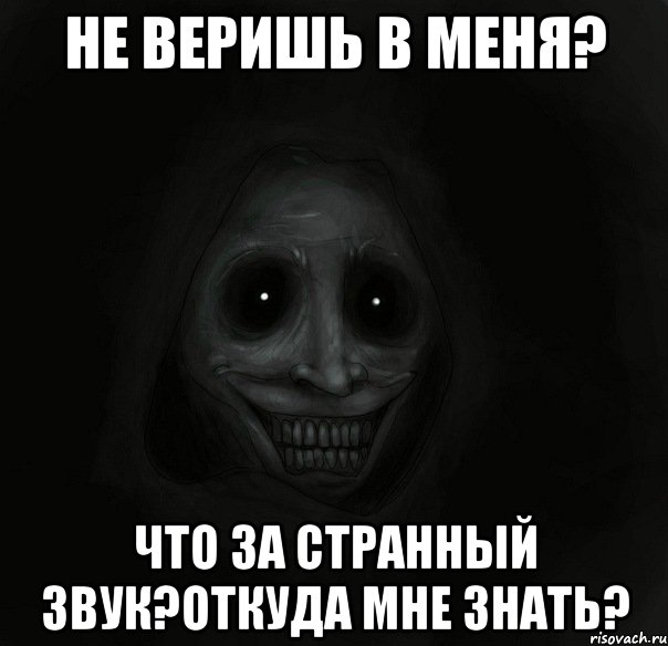 не веришь в меня? что за странный звук?откуда мне знать?, Мем Ночной гость