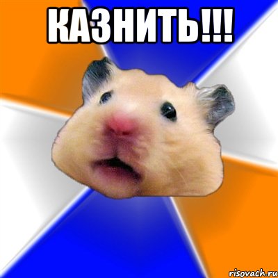 казнить!!! , Мем Хомяк