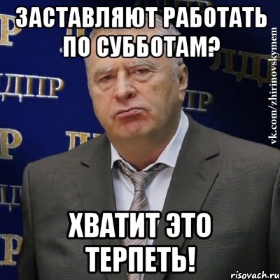 заставляют работать по субботам? хватит это терпеть!, Мем Хватит это терпеть (Жириновский)