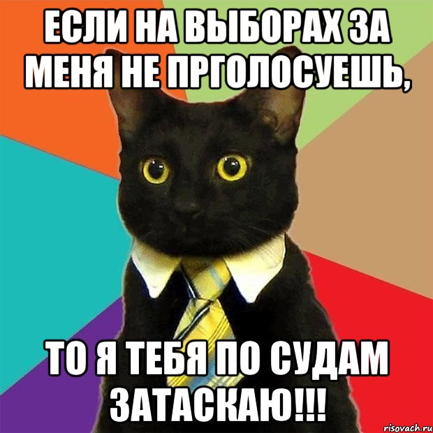 если на выборах за меня не прголосуешь, то я тебя по судам затаскаю!!!, Мем  Кошечка