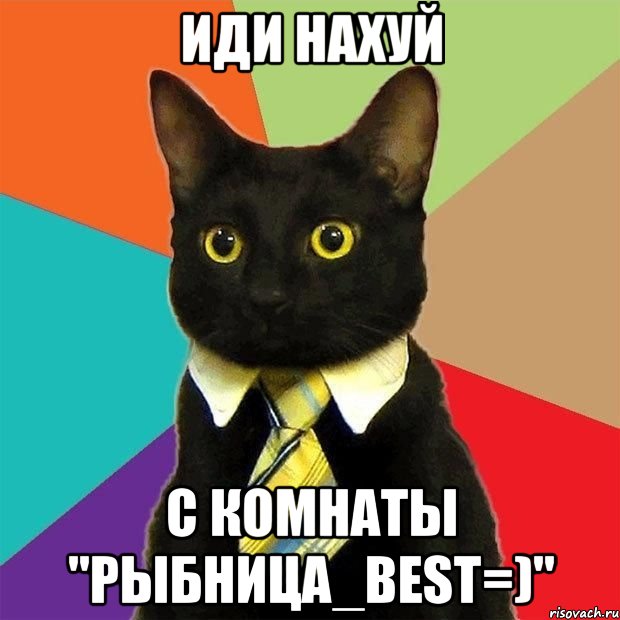 иди нахуй с комнаты "рыбница_best=)", Мем  Кошечка