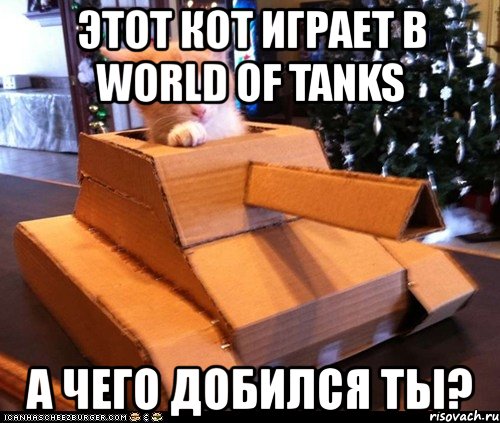 этот кот играет в world of tanks а чего добился ты?