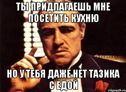 ты придлагаешь мне посетить кухню но у тебя даже нет тазика с едой, Мем крестный отец