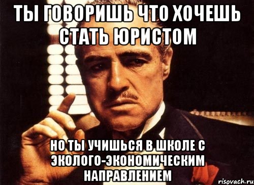 ты говоришь что хочешь стать юристом но ты учишься в школе с эколого-экономическим направлением, Мем крестный отец