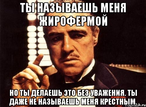 ты называешь меня жирофермой но ты делаешь это без уважения. ты даже не называешь меня крестным., Мем крестный отец