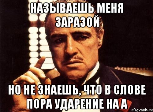 называешь меня заразой но не знаешь, что в слове пора ударение на а, Мем крестный отец