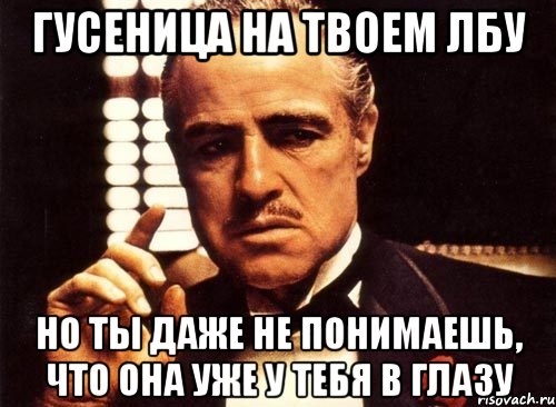 гусеница на твоем лбу но ты даже не понимаешь, что она уже у тебя в глазу, Мем крестный отец