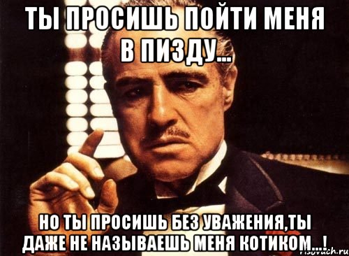 ты просишь пойти меня в пизду... но ты просишь без уважения,ты даже не называешь меня котиком...!, Мем крестный отец