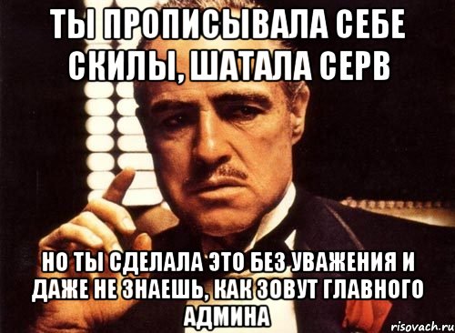 ты прописывала себе скилы, шатала серв но ты сделала это без уважения и даже не знаешь, как зовут главного админа, Мем крестный отец