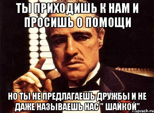 ты приходишь к нам и просишь о помощи но ты не предлагаешь дружбы и не даже называешь нас " шайкой", Мем крестный отец