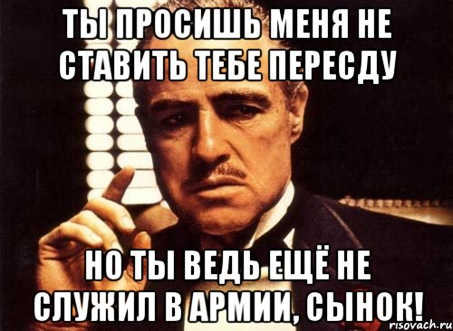 ты просишь меня не ставить тебе пересду но ты ведь ещё не служил в армии, сынок!, Мем крестный отец