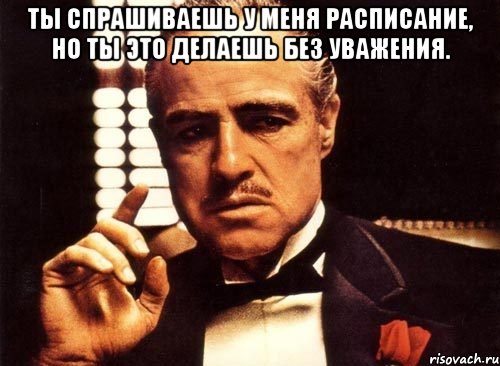 ты спрашиваешь у меня расписание, но ты это делаешь без уважения. , Мем крестный отец