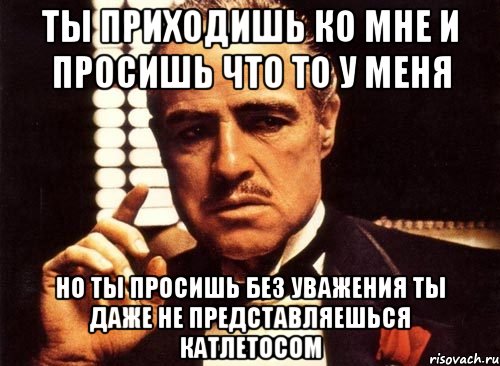 ты приходишь ко мне и просишь что то у меня но ты просишь без уважения ты даже не представляешься катлетосом, Мем крестный отец