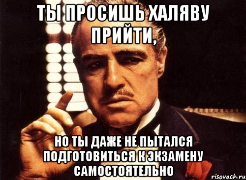 ты просишь халяву прийти, но ты даже не пытался подготовиться к экзамену самостоятельно, Мем крестный отец