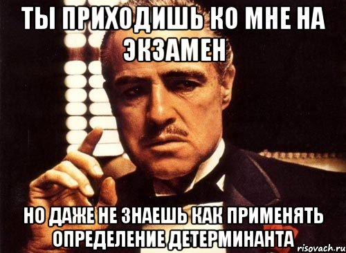 ты приходишь ко мне на экзамен но даже не знаешь как применять определение детерминанта, Мем крестный отец