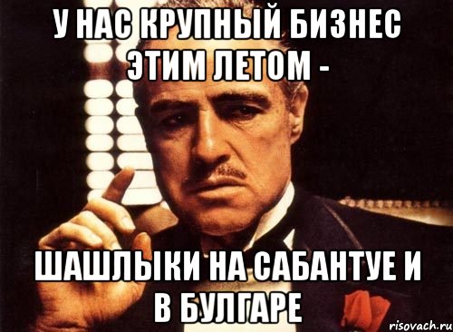 у нас крупный бизнес этим летом - шашлыки на сабантуе и в булгаре, Мем крестный отец