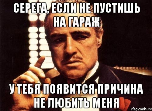 серега, если не пустишь на гараж у тебя появится причина не любить меня, Мем крестный отец