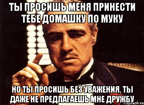 ты просишь меня принести тебе домашку по муку но ты просишь без уважения, ты даже не предлагаешь мне дружбу, Мем крестный отец