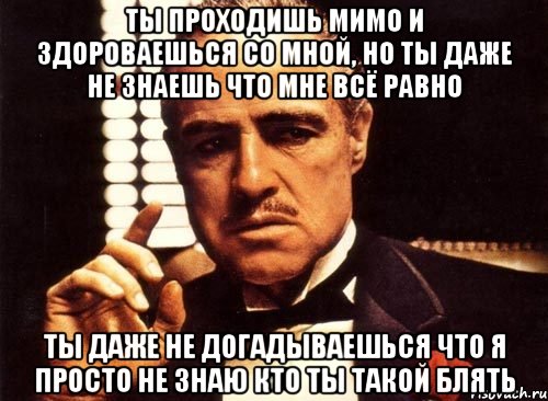 ты проходишь мимо и здороваешься со мной, но ты даже не знаешь что мне всё равно ты даже не догадываешься что я просто не знаю кто ты такой блять, Мем крестный отец