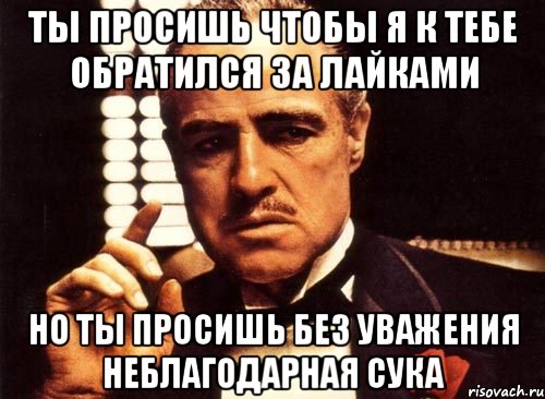 ты просишь чтобы я к тебе обратился за лайками но ты просишь без уважения неблагодарная сука, Мем крестный отец