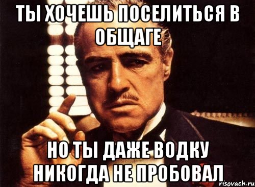 ты хочешь поселиться в общаге но ты даже водку никогда не пробовал, Мем крестный отец