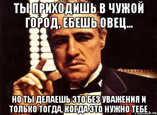 ты приходишь в чужой город, ебешь овец... но ты делаешь это без уважения и только тогда, когда это нужно тебе, Мем крестный отец