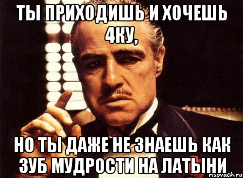 ты приходишь и хочешь 4ку, но ты даже не знаешь как зуб мудрости на латыни, Мем крестный отец