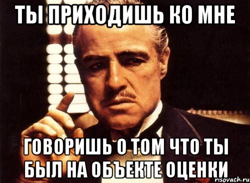 ты приходишь ко мне говоришь о том что ты был на объекте оценки, Мем крестный отец