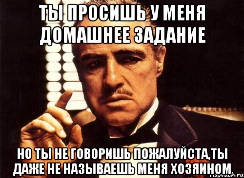 ты просишь у меня домашнее задание но ты не говоришь пожалуйста,ты даже не называешь меня хозяином, Мем крестный отец