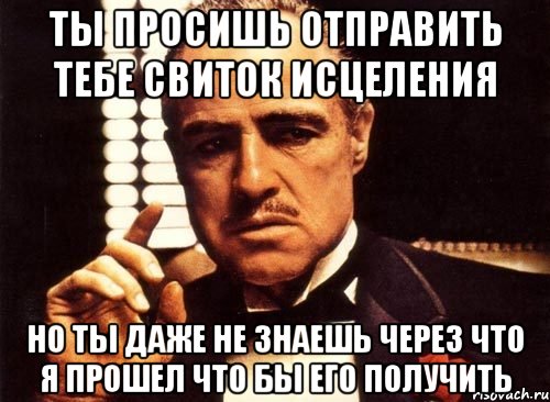 ты просишь отправить тебе свиток исцеления но ты даже не знаешь через что я прошел что бы его получить, Мем крестный отец