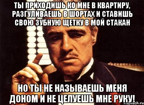 ты приходишь ко мне в квартиру, разгуливаешь в шортах и ставишь свою зубную щетку в мой стакан но ты не называешь меня доном и не целуешь мне руку!, Мем крестный отец