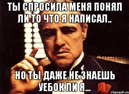 ты спросила меня понял ли то что я написал.. но ты даже не знаешь уебок ли я..., Мем крестный отец