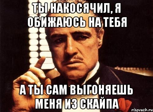 ты накосячил, я обижаюсь на тебя а ты сам выгоняешь меня из скайпа, Мем крестный отец