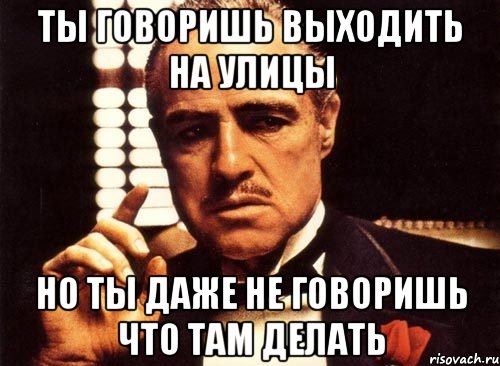 ты говоришь выходить на улицы но ты даже не говоришь что там делать, Мем крестный отец