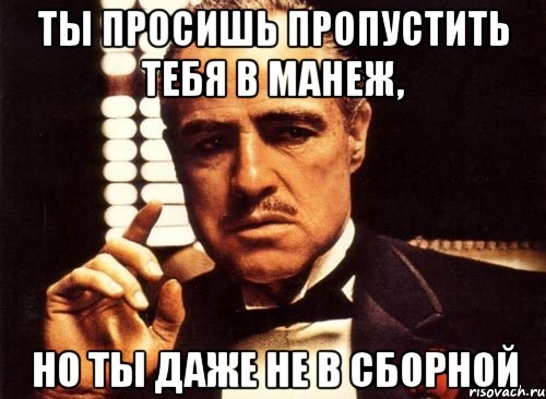 ты просишь пропустить тебя в манеж, но ты даже не в сборной, Мем крестный отец