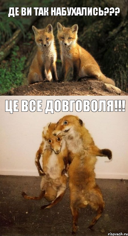 ДЕ ВИ ТАК НАБУХАЛИСЬ??? ЦЕ ВСЕ ДОВГОВОЛЯ!!!