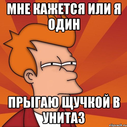 мне кажется или я один прыгаю щучкой в унитаз, Мем Мне кажется или (Фрай Футурама)