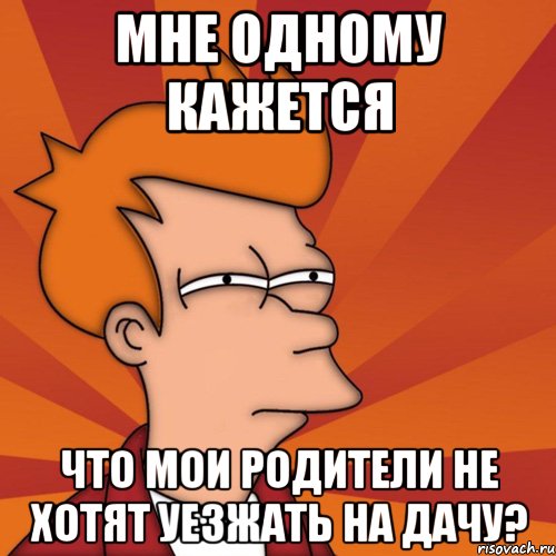 мне одному кажется что мои родители не хотят уезжать на дачу?, Мем Мне кажется или (Фрай Футурама)