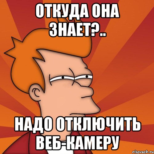 откуда она знает?.. надо отключить веб-камеру, Мем Мне кажется или (Фрай Футурама)